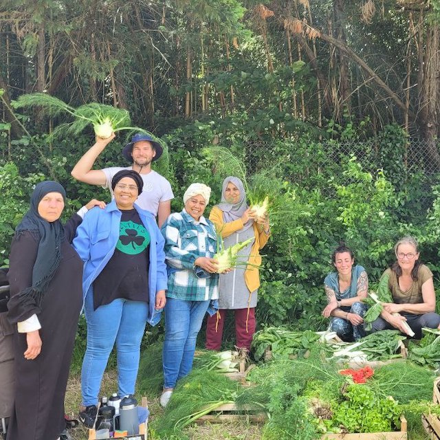 Une matinée de désherbage récompensée par le glanage de plein de beaux légumes !
