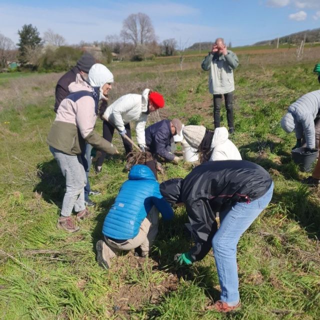 2026-cueillette-chantier-solidaire-Montvendre-arboricultrice